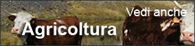 Agricoltura