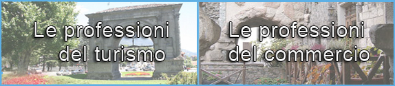 Professioni del turismo e del commercio