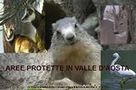 Parchi e Riserve naturali