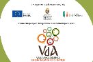 Progetto FEI