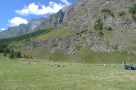 MECCANIZZAZIONE AGRICOLA