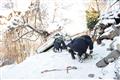 Aosta: Incidente stradale