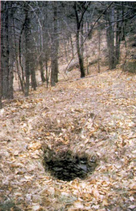 Antica trappola (metà VVIII secolo) per lupi nel comune di Pontey.