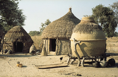 Intérieur d’un saré kirdi au Cameroun (1981). Au centre, la case du père; à gauche, celle d’une épouse; à droite, un grenier à mil. Noter les deux cloches en paille tressée préparées pour couvrir le sommet de la case et l’ouverture du grenier.
