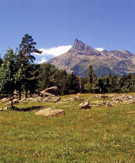L'inconfondibile profilo del Mont Avic.