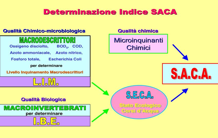 Figura 2, determinazione dell'indice SACA.