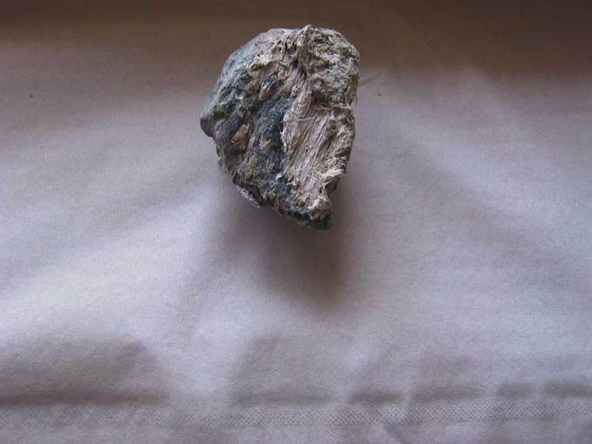 Fasci di fibre di crisotilo su serpentina (miniera di Settarme-Chassant).