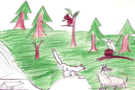 I disegni che illustrano questo articolo sono stati realizzati dai ragazzi delle istituzioni scolastiche valdostane nell’ambito del progetto “Lupo e biodiversità”.