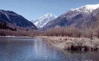 Marais