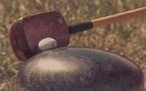 Fiolet