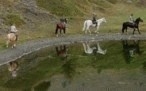 Horse-riding