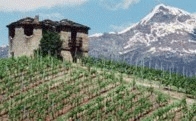 Viticulteurs encaveurs