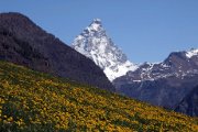Monte Cervino