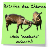 Bataille des Chèvres