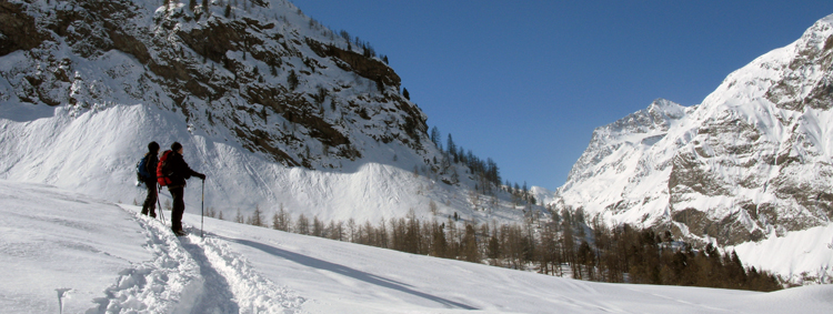 Racchette da neve 