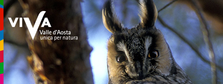 Viva - Valle d'Aosta unica per natura