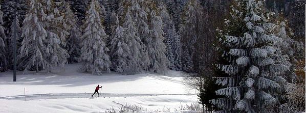 Sci nordico