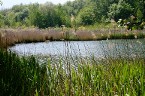 Lago di Villa