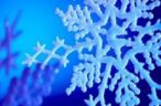 Bollettino neve