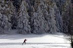 Nordischer Skisport: die Pisten des Gebiets