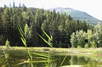 Via Alpina