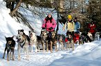 Sleddog - gite con i cani da slitta