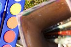 Live-art nei giardini botanici alpini