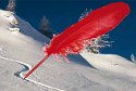 Concorso letterario "Brividi sul Bianco" - 2a edizione