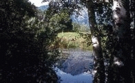 Holey-Teich