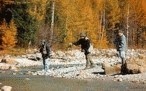 Pesca