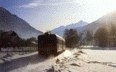 Tren