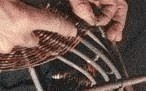 Wicker