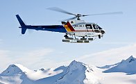 El vuelo de la libélula
