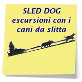 cani da slitta