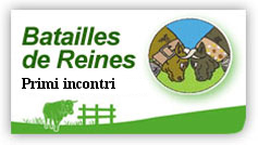 Batailles de reines