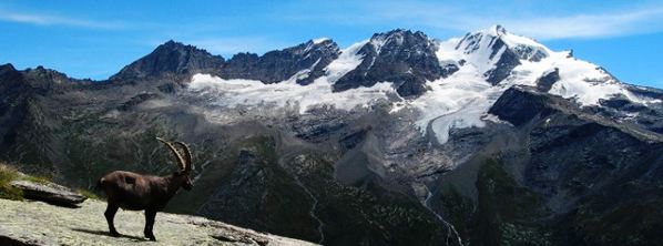 Parco Nazionale del Gran Paradiso