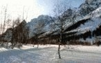 Courmayeur/Val Ferret