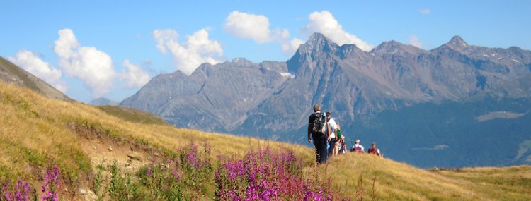Trekking