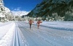 Gressoney