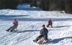 Luge - Bobsleigh