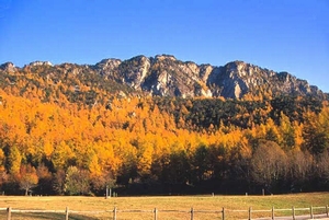 Emarèse