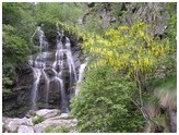 Cascate e torrente Bouro - Fontainemore