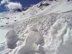 ultima foto arrivata
