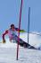 Stefan Kogler, Germania