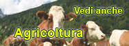 Agricoltura