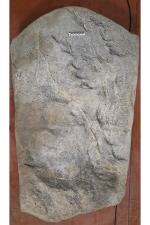 Stèle anthropomorphe de l’aire mégalithique de Saint-Martin-de-Corléans d’Aoste