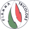 Logo FIAMMA TRICOLORE