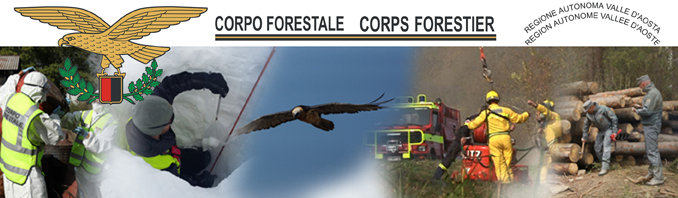 Corpo Forestale - In natura hominis radix