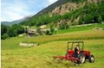 Bando giovani agricoltori