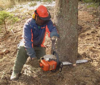 Linformatore Agricolo Linformateur Agricole